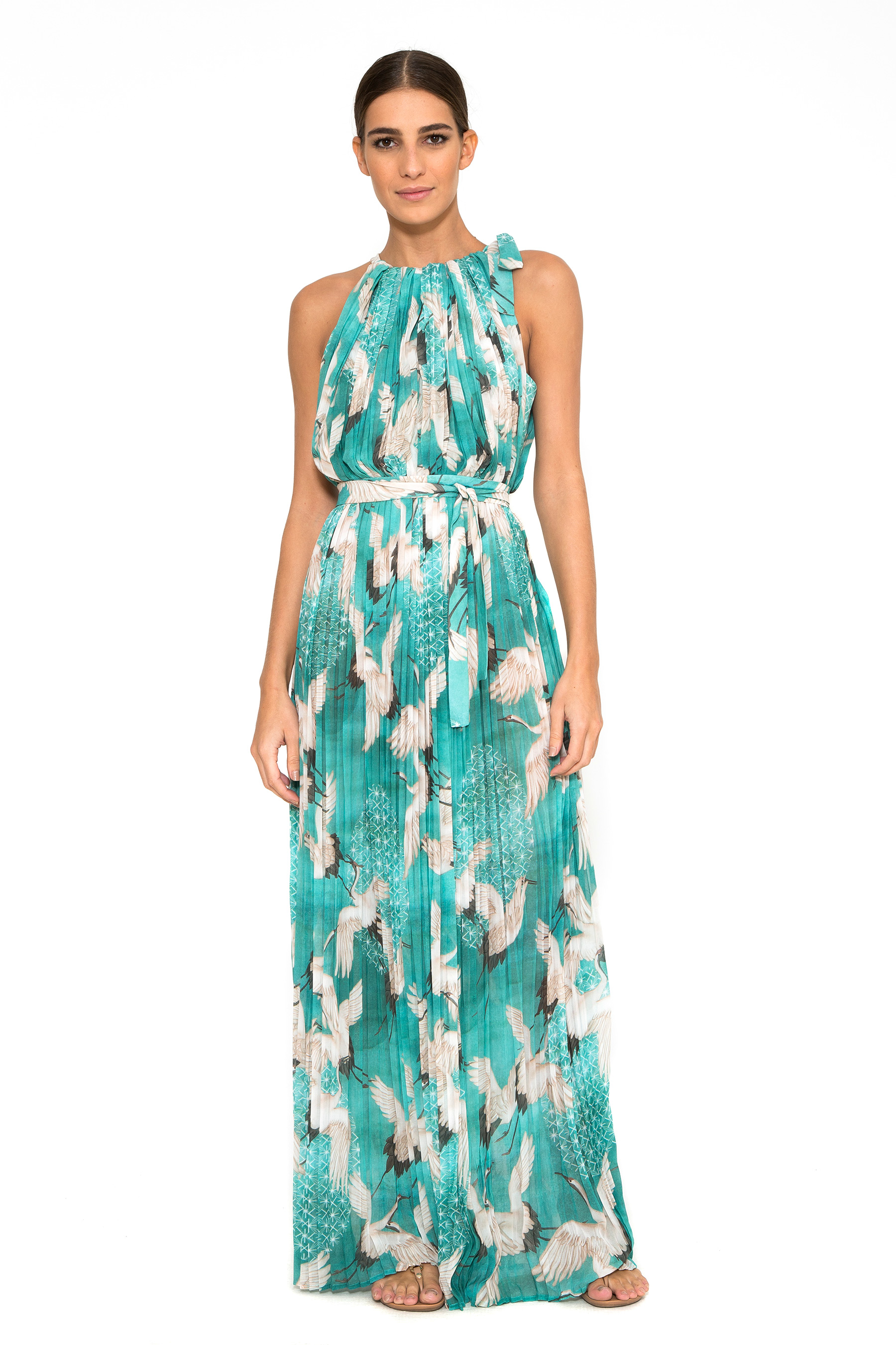 Naomi Pleated Long Dress